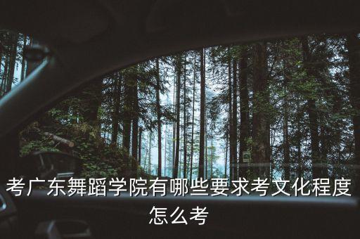 考广东舞蹈学院有哪些要求考文化程度怎么考