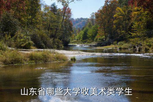 山东省哪些大学收美术类学生