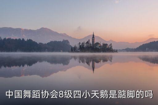 儿童舞蹈小天鹅动作，请教四小天鹅舞曲指法