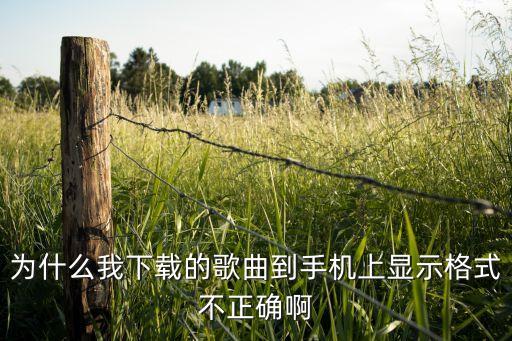 为什么我下载的歌曲到手机上显示格式不正确啊