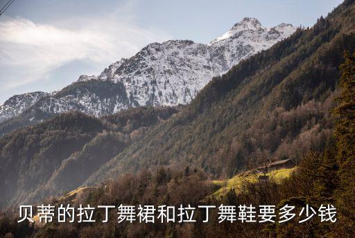 贝蒂的拉丁舞裙和拉丁舞鞋要多少钱