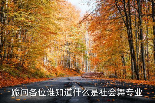 社会舞蹈是什么，舞蹈是什么