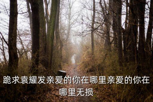 跪求袁耀发亲爱的你在哪里亲爱的你在哪里无损