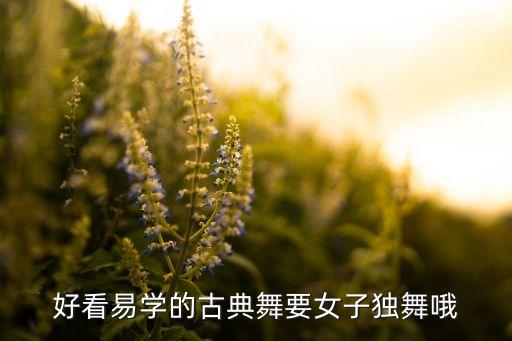 好看易学的古典舞要女子独舞哦