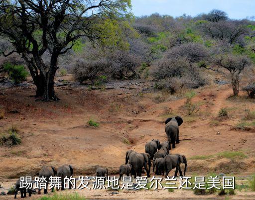 踢踏舞的发源地是爱尔兰还是美国