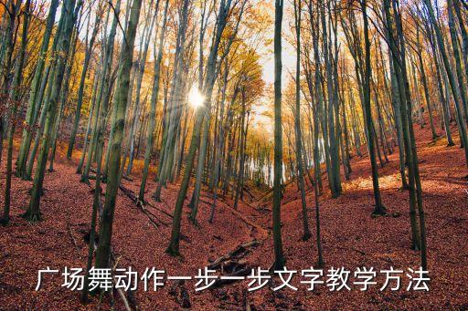 广场舞动作一步一步文字教学方法