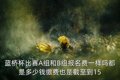 国际芭蕾舞比赛报名费是多少，蓝桥杯决赛需要报名费吗参加过2011年决赛的朋友介绍一下