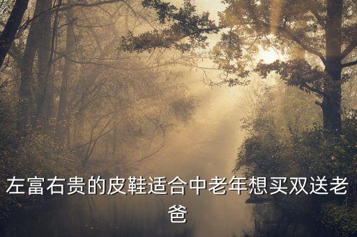 左富右贵的皮鞋适合中老年想买双送老爸