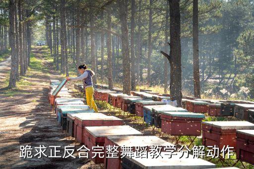 舞蹈九儿教学分解动作图片，跪求正反合完整舞蹈教学分解动作