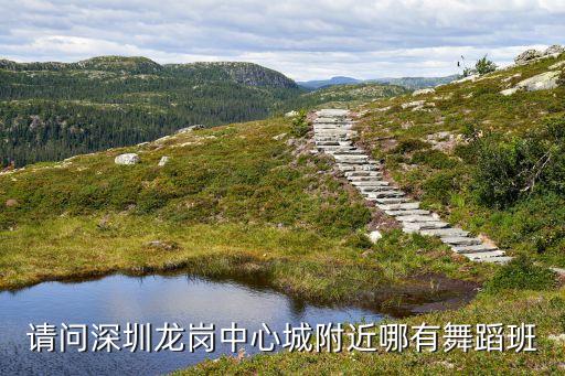 龙岗有哪些舞蹈培训班，请问深圳龙岗中心城附近哪有舞蹈班