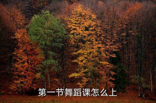 第一节舞蹈课怎么上