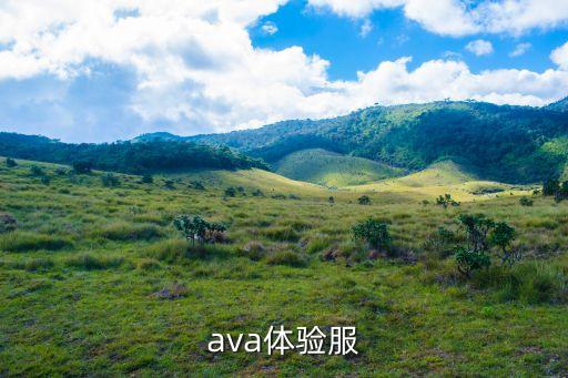 ava体验服