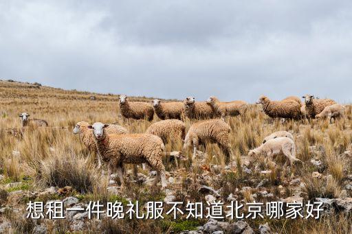 想租一件晚礼服不知道北京哪家好