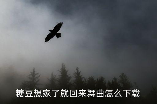 糖豆想家了就回来舞曲怎么下载