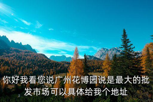 你好我看您说广州花博园说是最大的批发市场可以具体给我个地址