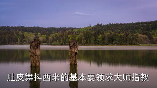 肚皮舞抖西米的基本要领求大师指教