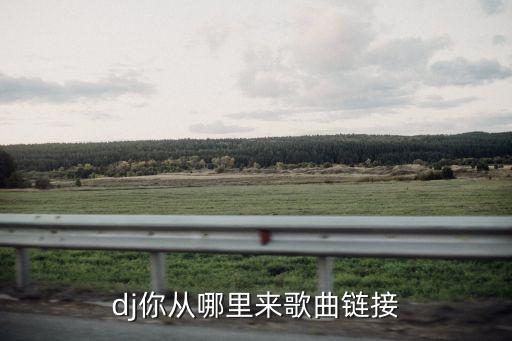 dj你从哪里来歌曲链接