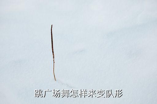 你牛什么牛茉莉广场舞变队形，怎样设置答语