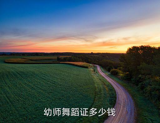 幼师舞蹈证多少钱