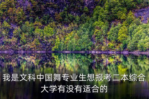 我是文科中国舞专业生想报考二本综合大学有没有适合的