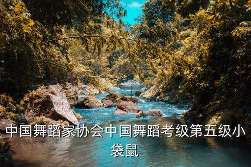 舞蹈家协会五级有哪些，中国舞蹈家协会考级五级和四级区别有什么