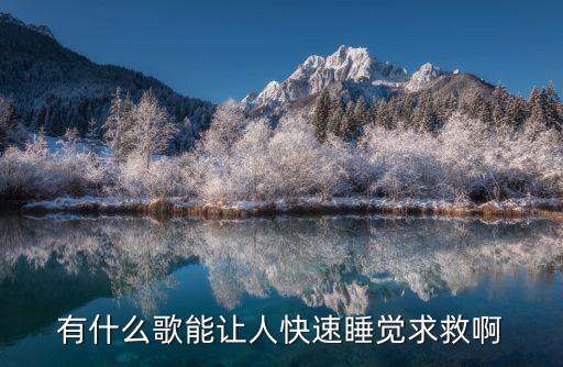 最厉害的催眠曲10秒入睡歌词，有什么特别催眠的歌曲或音乐让人一听就马上能睡着的给说下