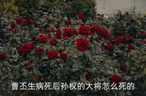 曹丕生病死后孙权的大将怎么死的