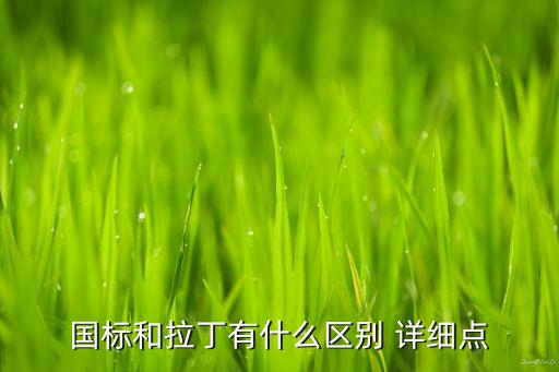 国标和拉丁有什么区别 详细点