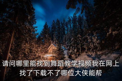 请问哪里能找到舞蹈教学视频我在网上找了下载不了哪位大侠能帮