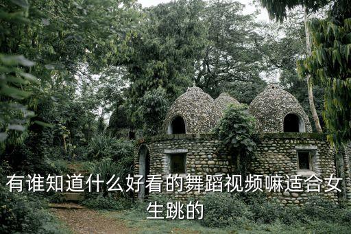 有什么好点的舞蹈视频，推荐下好看的MV舞蹈最好要疯狂点的