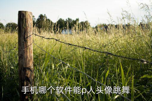 手机哪个软件能p人头像跳舞
