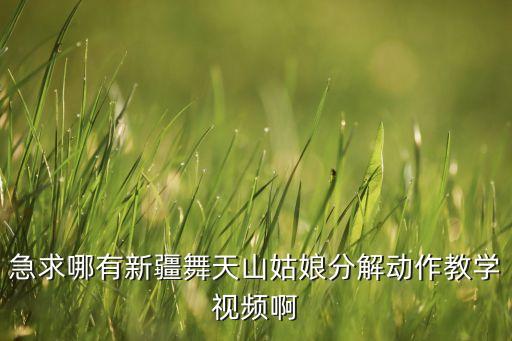 急求哪有新疆舞天山姑娘分解动作教学视频啊