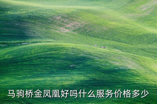 金凤凰舞蹈班如何，岳阳哪家学校舞蹈培训搞的好一点阿想把侄女送去学舞蹈麻烦各位