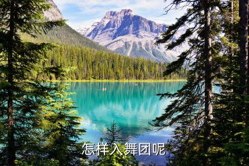 小孩怎么才能加入舞团，怎么申请加舞团