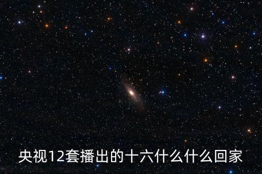 央视12套播出的十六什么什么回家