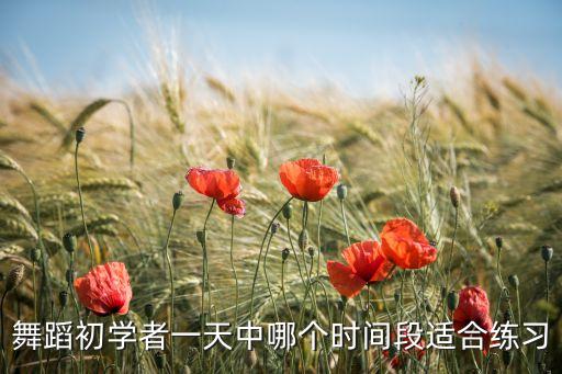 舞蹈初学者一天中哪个时间段适合练习