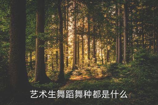 艺术生舞蹈舞种都是什么