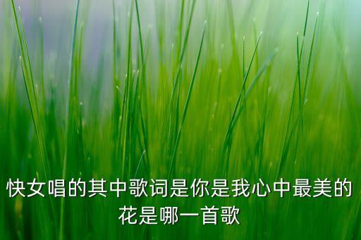 快女唱的其中歌词是你是我心中最美的花是哪一首歌