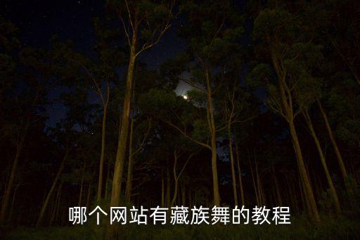 藏舞教程，藏舞的视频哪里有
