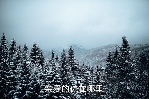 亲爱的你在哪里