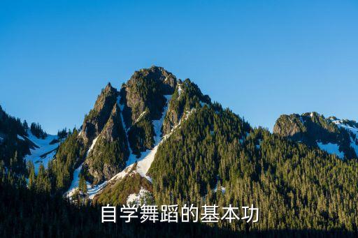 自学舞蹈的基本功