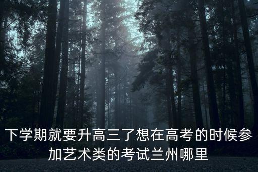 下学期就要升高三了想在高考的时候参加艺术类的考试兰州哪里