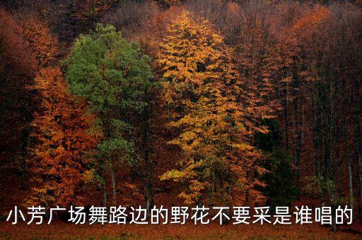 小芳广场舞路边的野花不要采是谁唱的