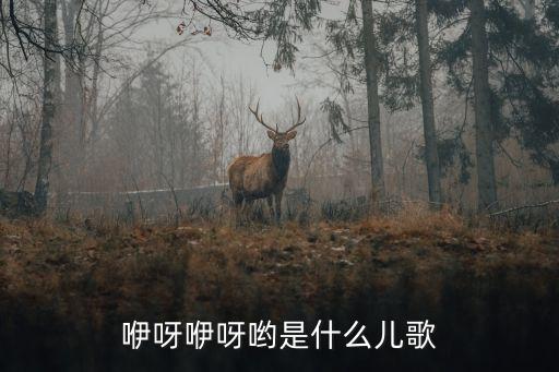 咿呀咿呦是什么歌，咿呀咿呀呦是什么歌啊