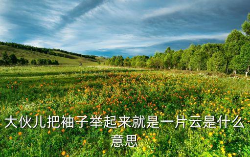 大伙儿把袖子举起来就是一片云是什么意思