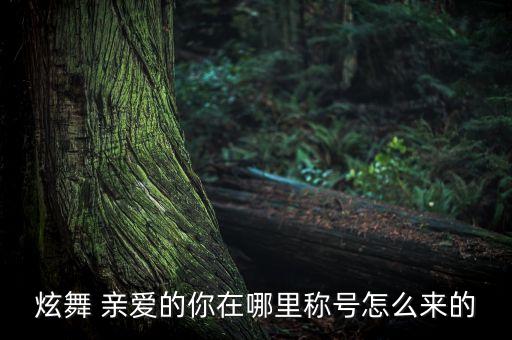 炫舞 亲爱的你在哪里称号怎么来的