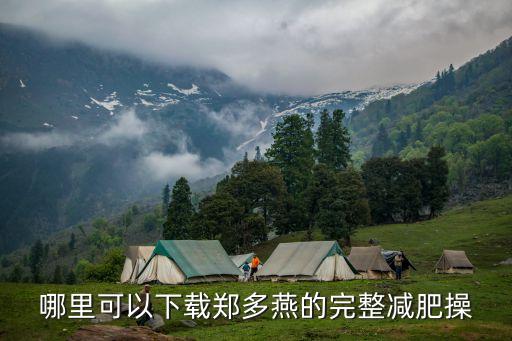 哪里可以下载郑多燕的完整减肥操