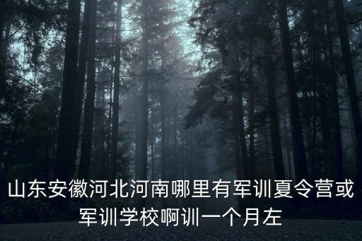 山东安徽河北河南哪里有军训夏令营或军训学校啊训一个月左