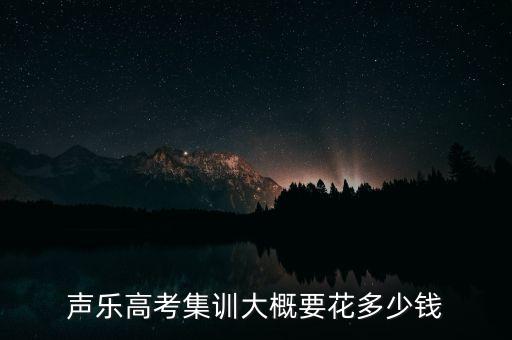 声乐高考集训大概要花多少钱