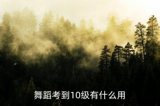 舞蹈考到10级有什么用